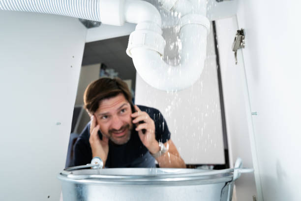 Best Local Plumber Services  in , NY